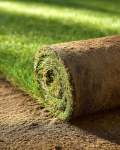creator474_Extreme_close-up_of_premium_lawn_turf_being_unroll_a4d0c8c9-8e5b-47a4-a497-867f0cdc6afe_1