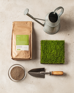 creator474_Flat-lay_of_essential_lawn_care_products_arranged__e93d8f03-d9c9-4a07-a227-2ae861cba9d3_1