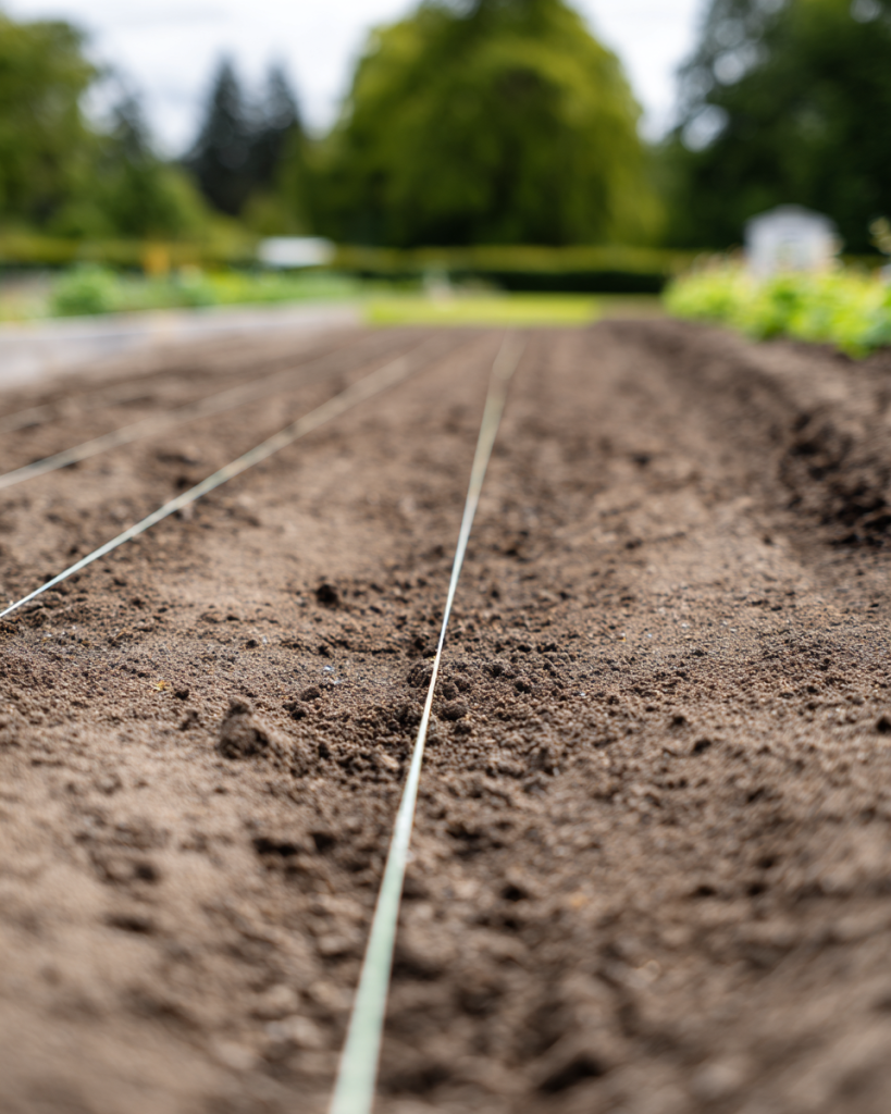 creator474_Straight_rake_leveling_a_fine_seedbed_with_string__ec949b74-a0e4-4b86-b32e-a9e19e7308e6_3