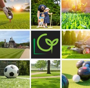 Lifestyle Lawns – Shady Box